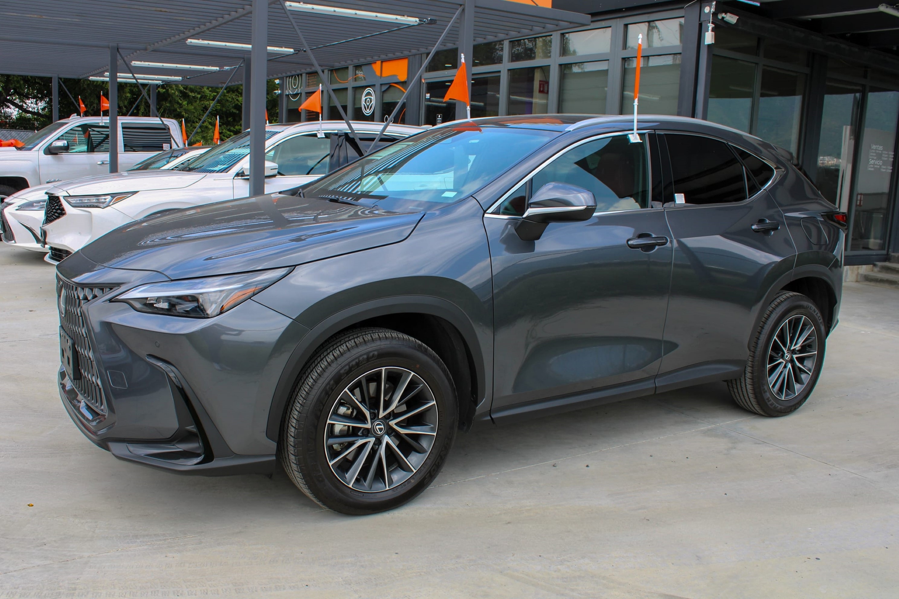 LEXUS NX250 GRIS-3.jpg